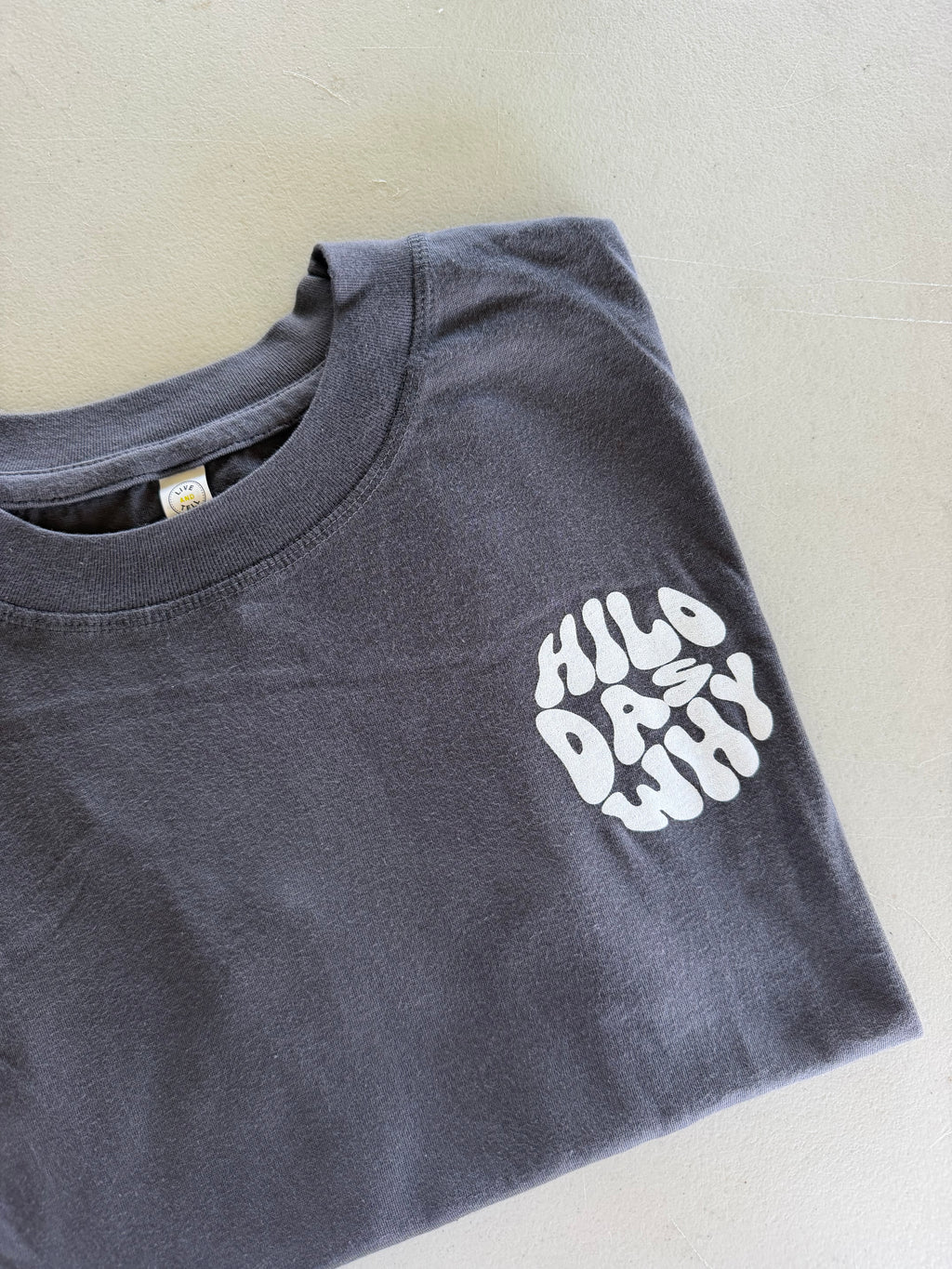 "Hilo das why" - Circle/Big Island (Women's Boxy Tee)