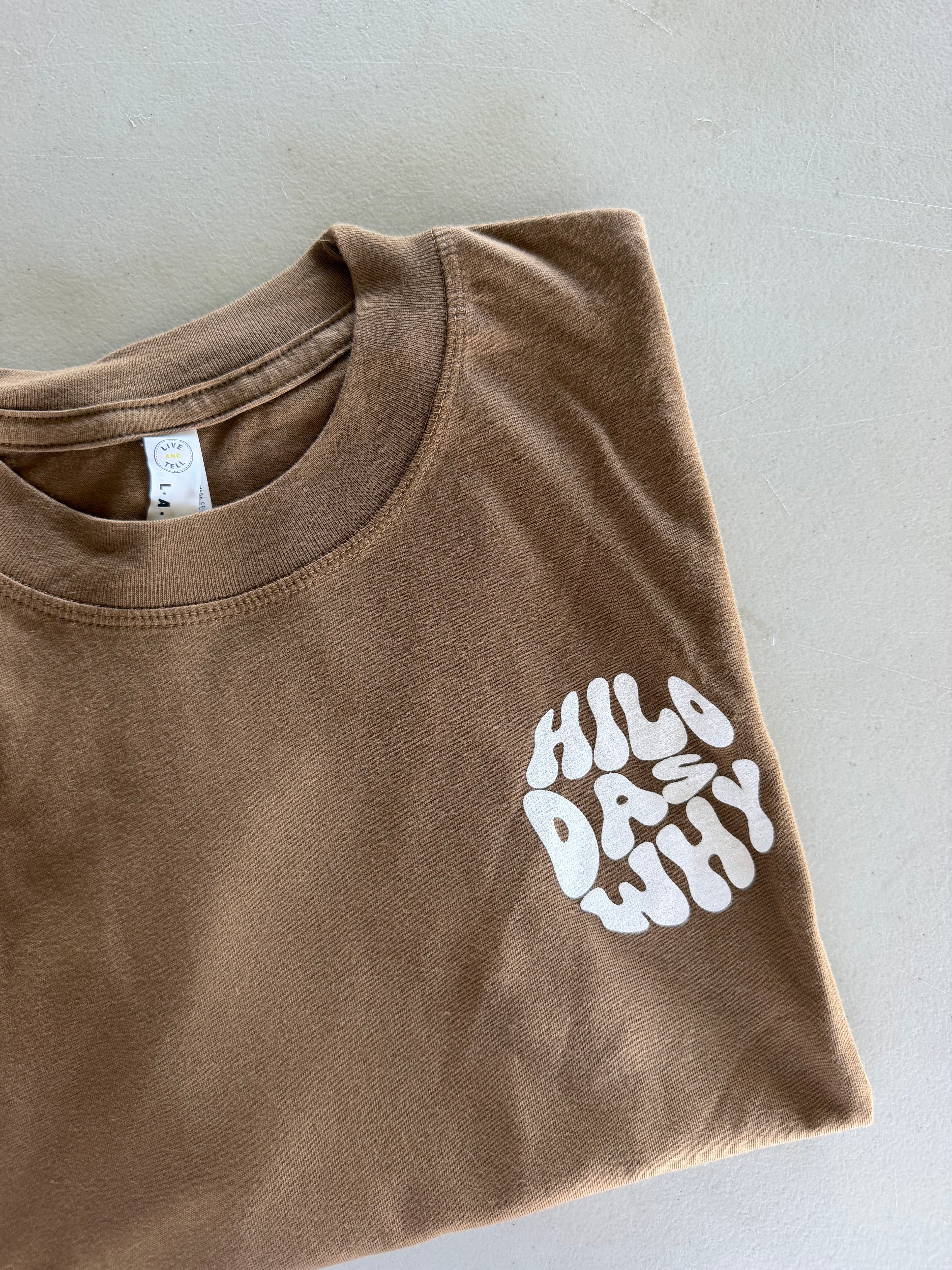 "Hilo das why" - Circle/Big Island (Women's Boxy Tee)